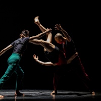 Bereishit-Dance-Company_BI_Photo-by-Taehyun-Hwang-Korean-Cultural-Center-New-York-3