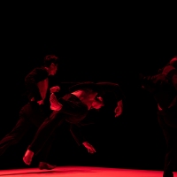 Bereishit-Dance-Company_Judo_Photo-by-Taehyun-Hwang-Korean-Cultural-Center-New-York-1-2