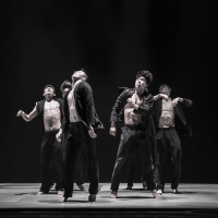 JUDO, Bereishit Dance Company | PC: Cho-Tae-Min