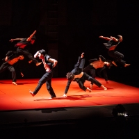 JUDO, Bereishit Dance Company | PC: Robert Torres