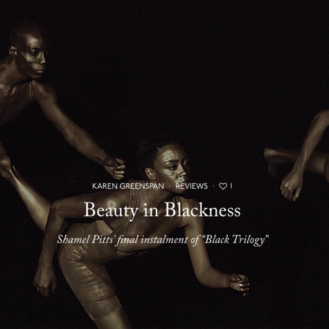 Fjord | Beauty in Blackness Shamel Pitts’ Final Installment of “Black Trilogy”